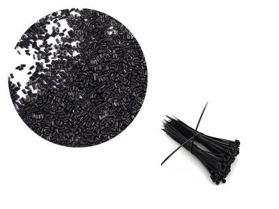 2023年第三十屆色母粒行業(yè)學(xué)術(shù)交流會(huì)圓滿落幕?。?！